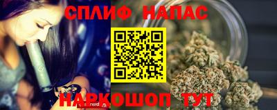 мяу мяу мука Нальчик