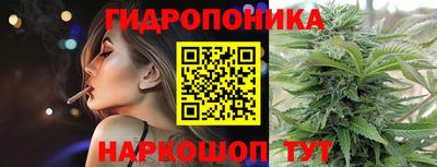 мяу мяу мука Нальчик